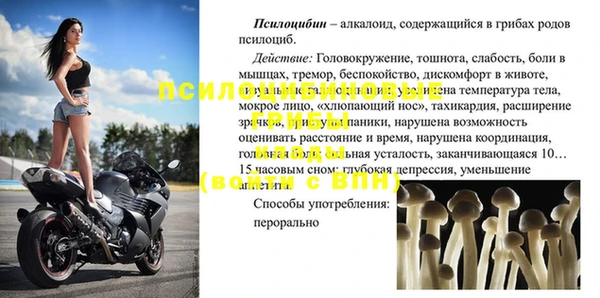 молекула духа Алзамай